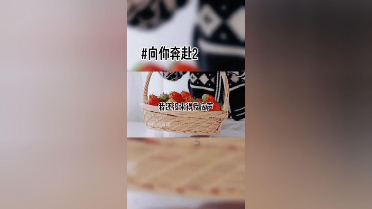 起重机卡车找不同