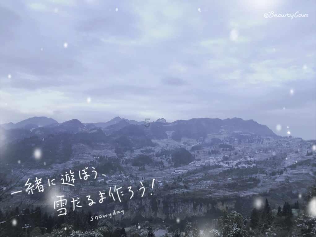 白莲花守则