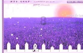 香港复办农历新年烟花汇演 大年初二维多利亚港绽放
