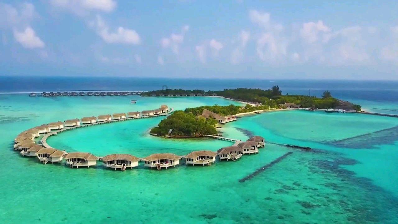 栅栏迷宫
