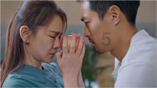 开启“人宠社交”视角，《可爱的旅行》为“宠物友好”解锁生活指南